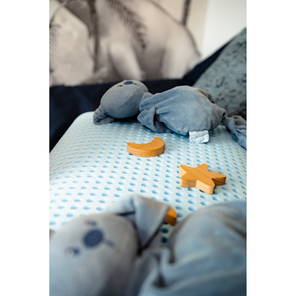 Blu Sleep Blu Dream Memory Foam Pillow