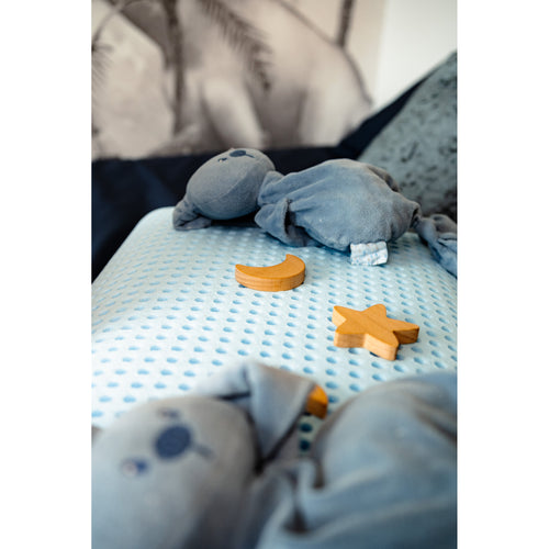 Blu Sleep Blu Dream Memory Foam Pillow